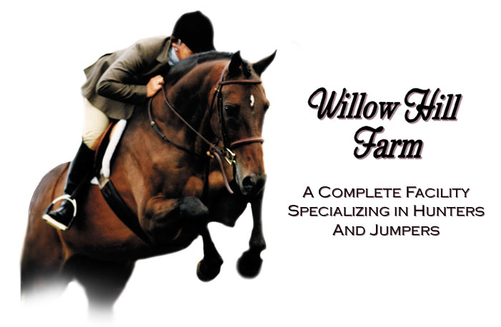 Willow Hill Farm